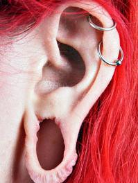 L'oreille cassée