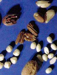 Figure 1. Différents fruits à coque, parmi lesquels on reconnaît la noix de pécan, des amandes, la noix commune, la pistache, la noix du Brésil, le pignon, etc.